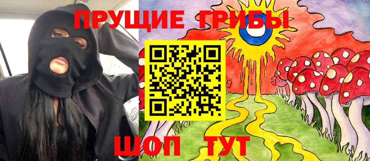 Воткинск  Галлюциногенные грибы прущие грибы  Вход с VPN 